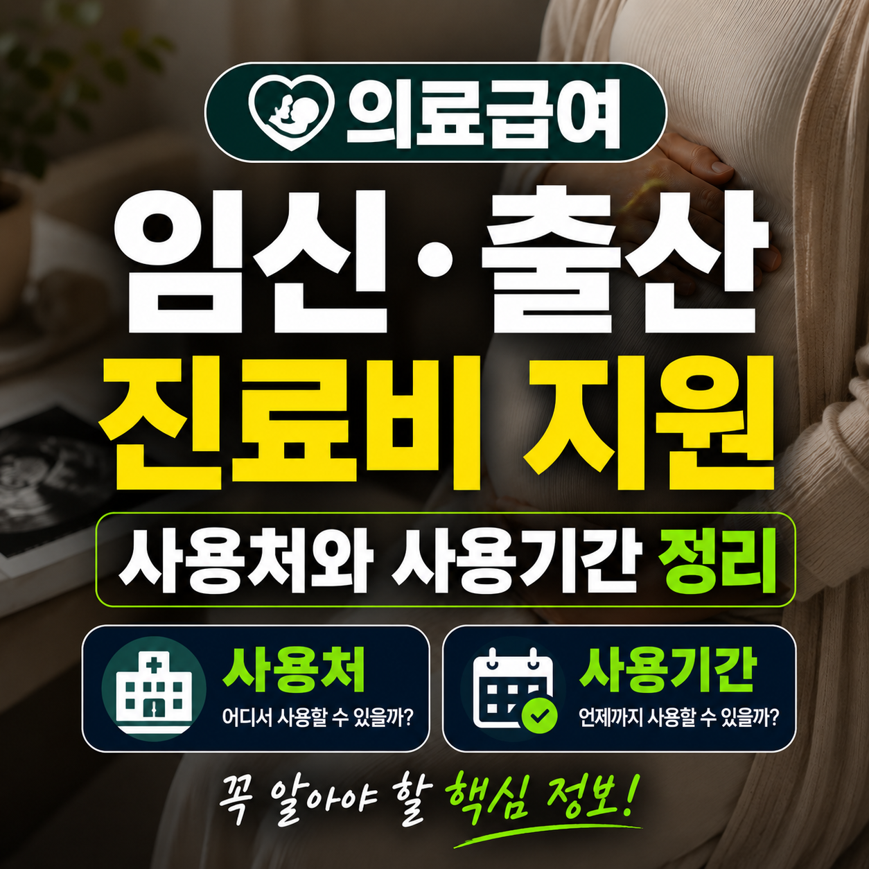 의료급여 임신·출산 진료비 사용처와 사용기간 정리