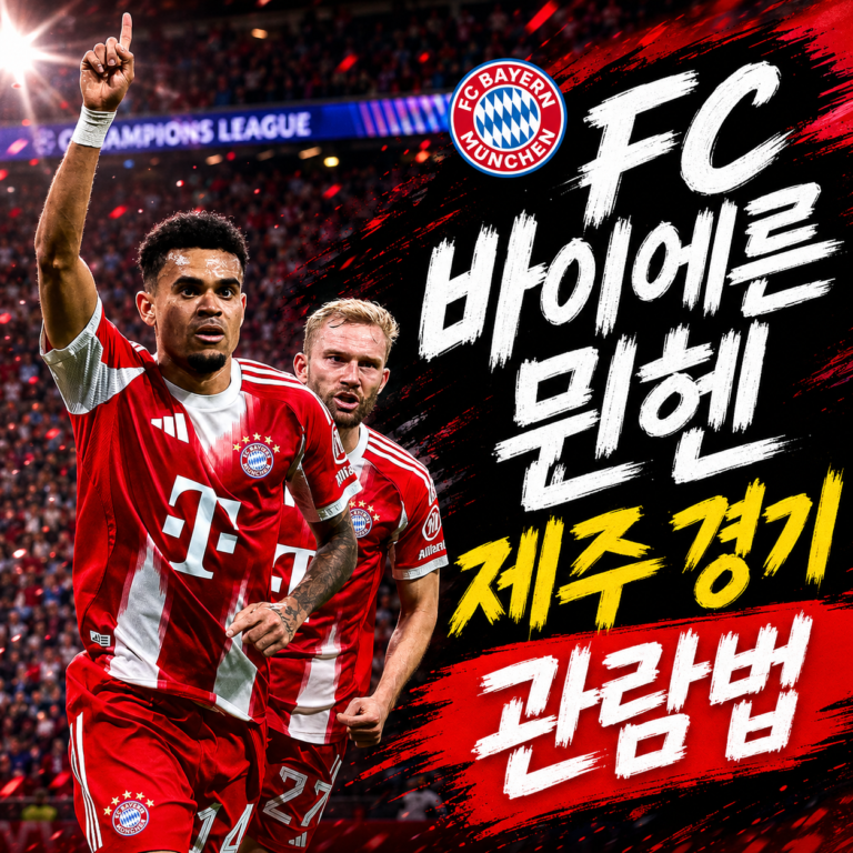 FC 바이에른 뮌헨 제주 경기 관람법, 오픈 트레이닝부터 본경기까지