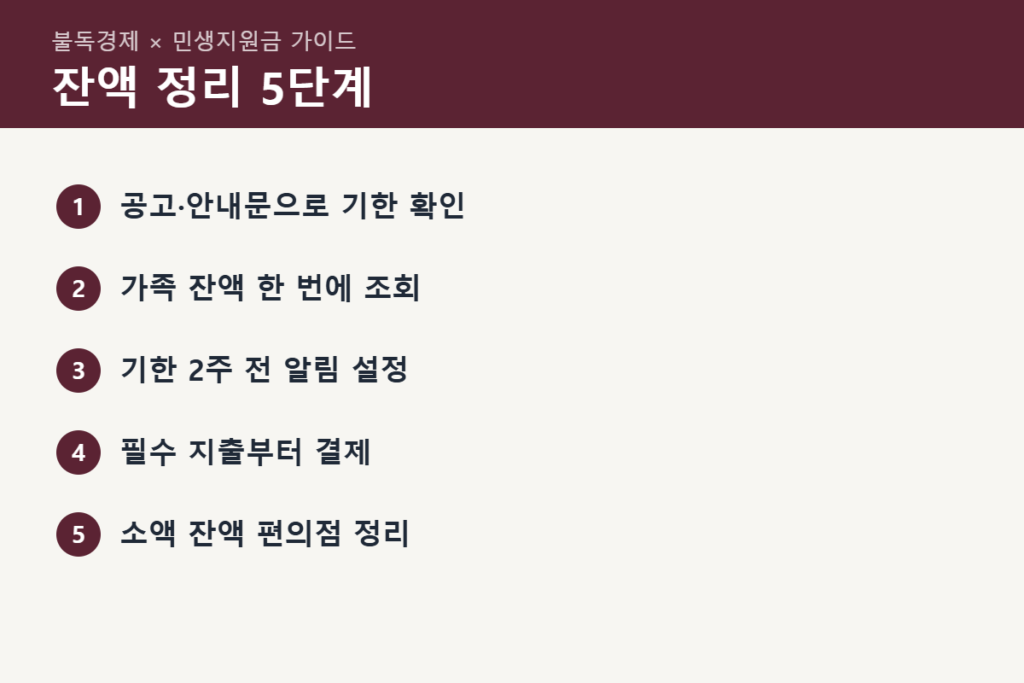 민생지원금 잔액 정리 5단계 순서