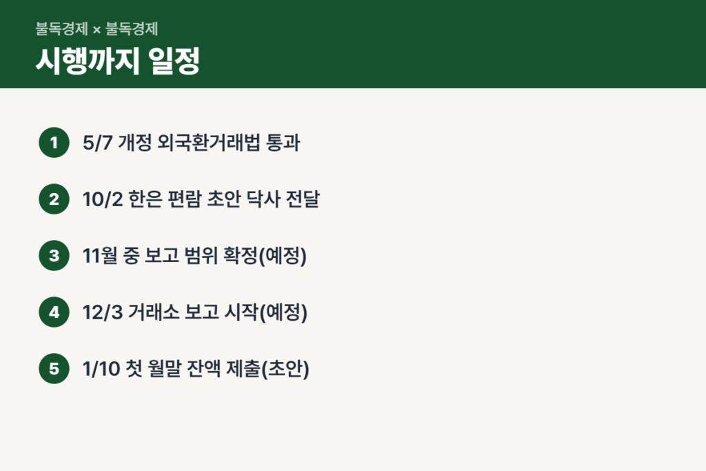 코인 잔액 보고 시행까지 일정 순서