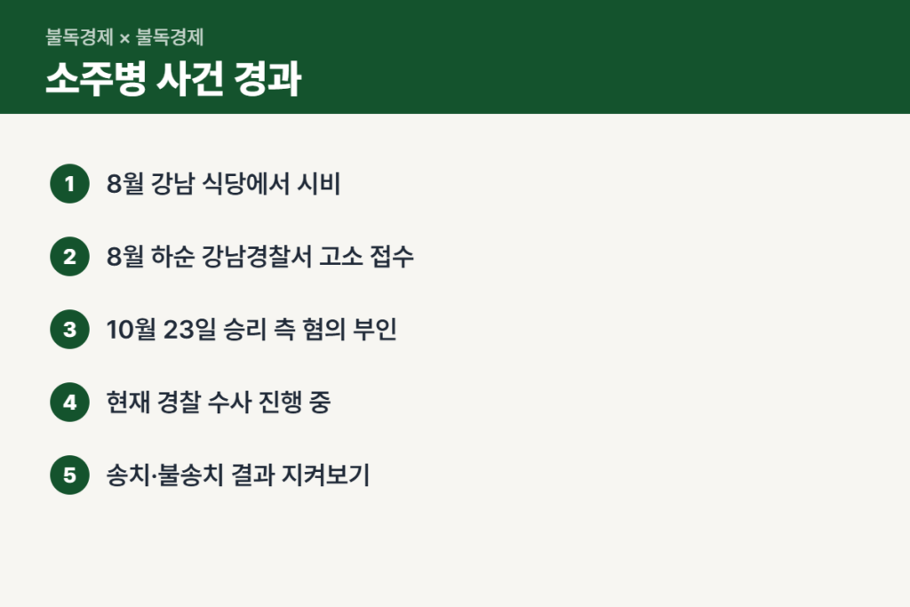 승리 특수폭행 피소 사건 진행 순서