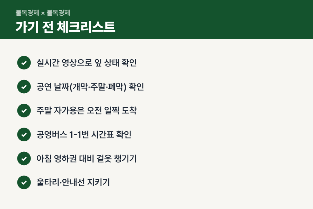 반계리 은행나무 축제 가기 전 체크리스트