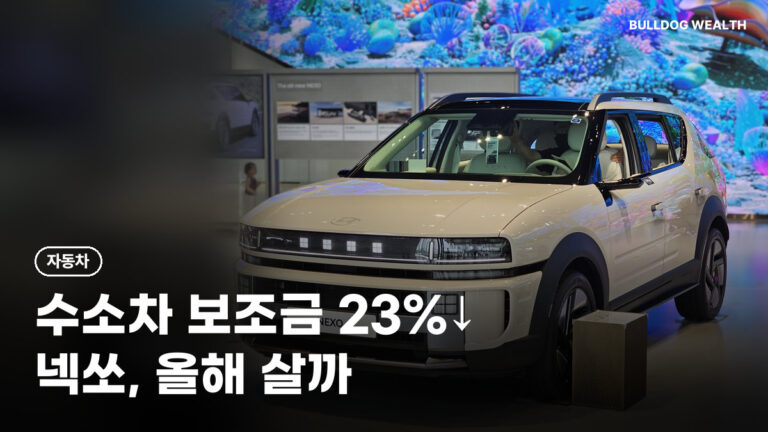 넥쏘 보조금 내년 예산 23% 감액안, 연내 사야 손해 없을까? 확인할 5가지
