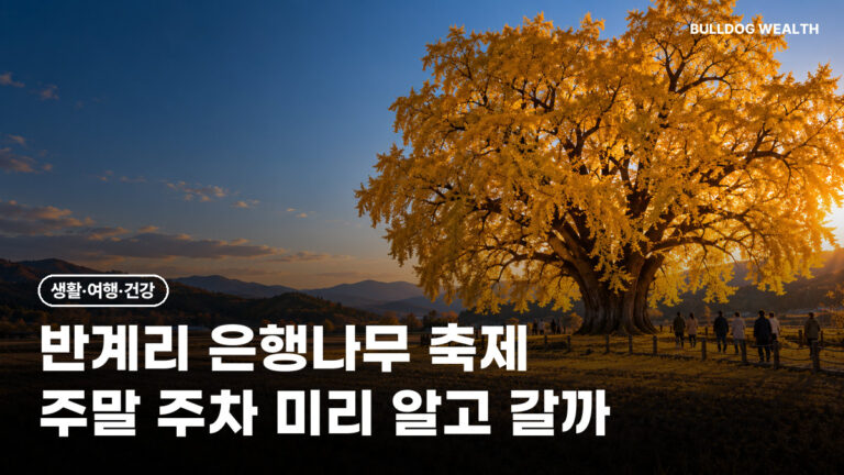 반계리 은행나무 축제 11월 8일까지, 주차 340면·버스 증차 놓치면 손해인 5가지 확인