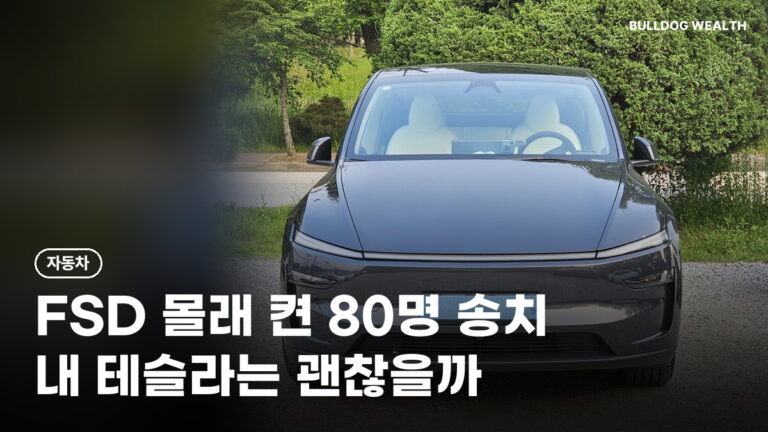 테슬라 FSD 불법 활성화 80명 송치, 징역 2년·벌금 2000만원…내 차도 위험할까 5가지 확인