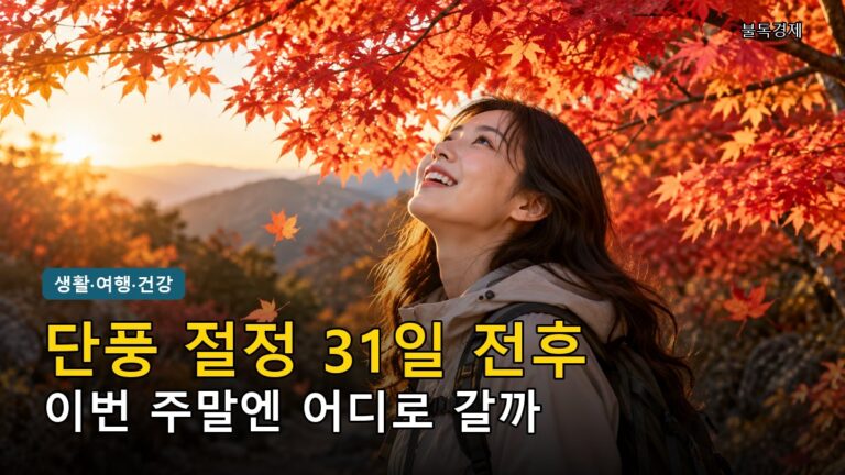 단풍 절정 시기 2026, 이번 주말 강원·11월 내장산까지 놓치면 손해 지역별 정리